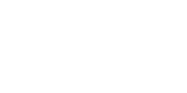 Aden Foundation